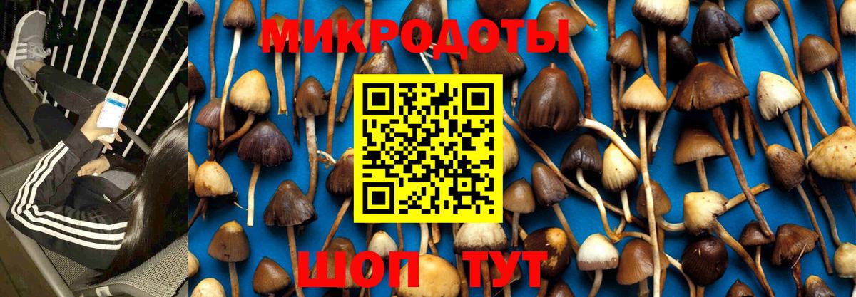 закладки  Псилоцибиновые грибы MAGIC MUSHROOMS  Вход с VPN  Борзя 