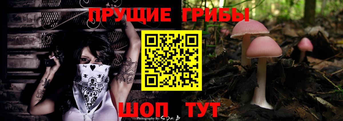 Cocaine  Борзя  Меф МЯУ МЯУ кристаллы  ГАШ  Каннабис  A-PVP СОЛЬ  